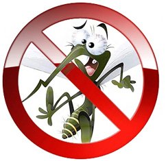 Протимоскітна сітка Львів Протимоскітна сітка Львів